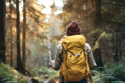 Comment éviter de se perdre lors d'une randonnée dans une forêt dense ?